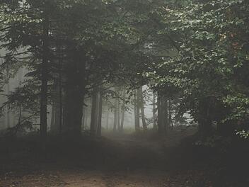 Am 21. April 2018 wurde in Velbert (Nordrhein-Westfalen) eine 13-jährige Schülerin von acht Jugendlichen vergewaltigt. Symbolbild: pixabay.com / Free-Photos