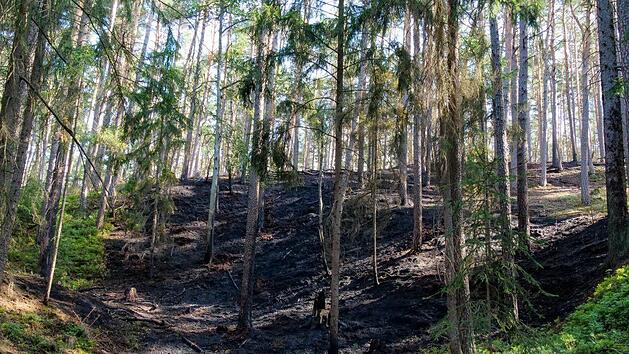 Am Dienstagabend ist es in Oberfranken zu einem Waldbrand gekommen. Die Folgen des Brandes sind deutlich zu erkennen. Foto: Fricke/News5