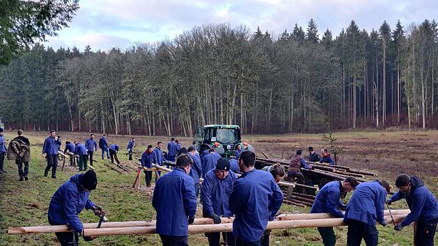 Zum Planfest 2020 hatten die Burschen im Januar bereits im Wald gearbeitet und St&uuml;tz-Schwalben f&uuml;r den Festbaum gefertigt.  Foto: Pascal Fries
