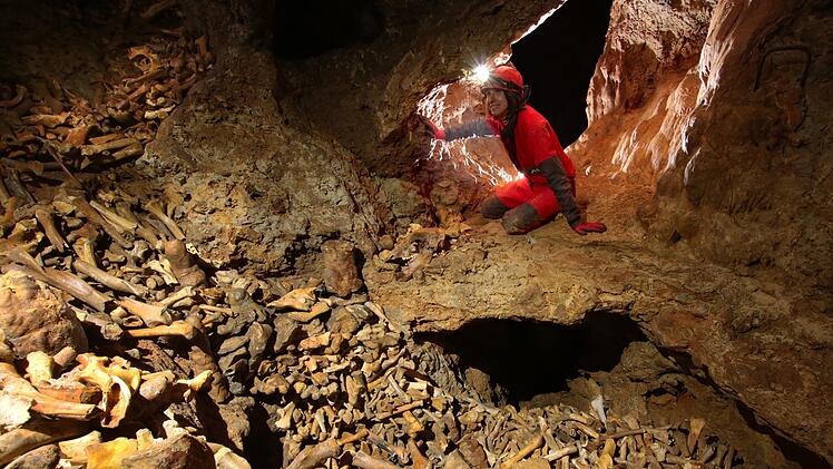 Tausende von Knochen in fränkischer Höhle - was es damit auf sich hat