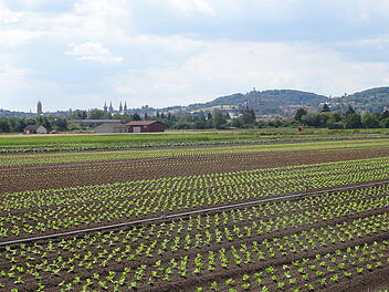 Bamberg: Bayernweites Pilotprojekt für urbane Klimaresilienz - Bamberg wird zur "Schwammstadt“