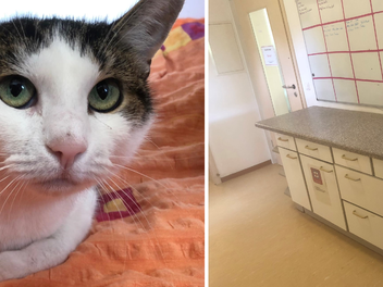 Tierheim Hersbruck: Bitte um Hilfe bei Teilnahme an Förderpreis - "Leben nur von Spenden" Tierheim Hersbruck: Bitte um Hilfe bei Teilnahme an Förderpreis - "Leben nur von Spenden"