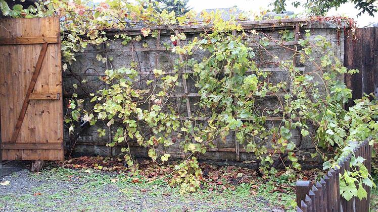 Hier müsste man durch die Mauer zum Friedhof brechen. Foto: Friedwald Schedel