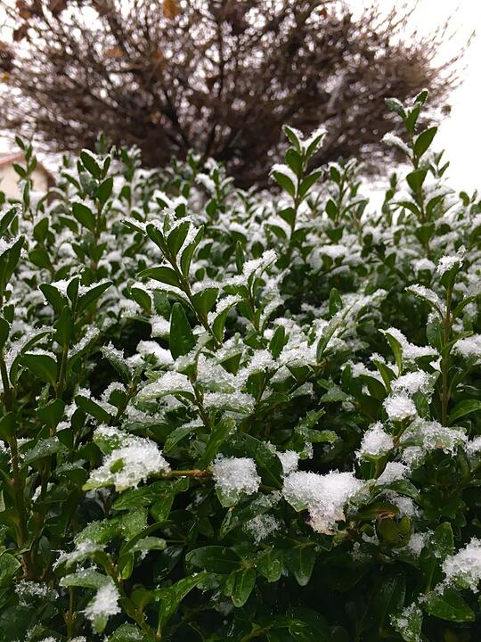 Leserbilder: Der erste Schnee in Franken