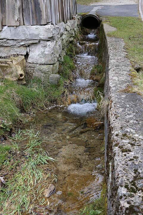 SoS Tiefenst?rmig; Gemeinde Eggolsheim; Foto: Barbara Herbst