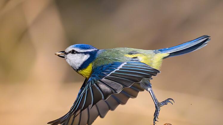 &laquo;Auf jeden Fall geh&ouml;rt das Wort Unkraut gestrichen&raquo;