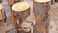 Direkt vom Polarkreis kommen die Rundhölzer, die in Finnland vorbearbeitet worden waren.