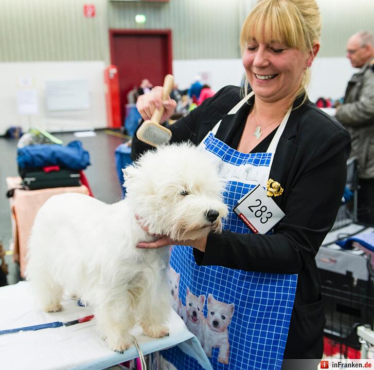 Internationale Rassehunde-Ausstellung «Cacib» in Nürnberg
