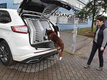"Wenn Hunde - vor allem im Sommer - die Möglichkeit haben, sich auszusuchen, wo sie sich aufhalten wollen, gehen sie von allein in die Thermoboxen", weiß Heike Winterling. Auch ihr Bordercollie Emil lässt sich fürs Foto nicht lange bitten.  Fotos: Ronald Rinklef