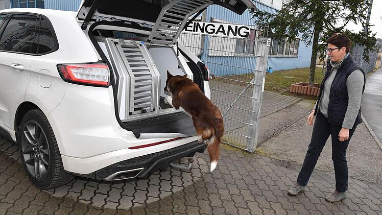 "Wenn Hunde - vor allem im Sommer - die Möglichkeit haben, sich auszusuchen, wo sie sich aufhalten wollen, gehen sie von allein in die Thermoboxen", weiß Heike Winterling. Auch ihr Bordercollie Emil lässt sich fürs Foto nicht lange bitten.  Fotos: Ronald Rinklef