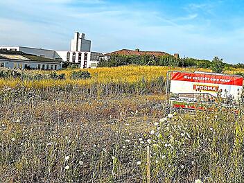 Das Schild steht schon l&auml;nger, jetzt genehmigte der Gemeinderat Meeder den Bauantrag des Lebensmittel-Discounters. Bettina Knauth