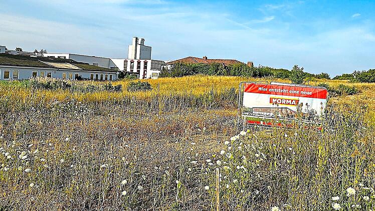 Das Schild steht schon l&auml;nger, jetzt genehmigte der Gemeinderat Meeder den Bauantrag des Lebensmittel-Discounters. Bettina Knauth