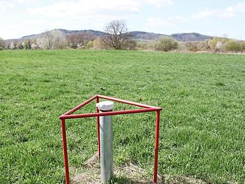 Nur die rot markierten Grundwassermessstellen am Unteranger deuten darauf hin, dass dies keine ganz normale Wiese ist. Foto: Ramona Popp