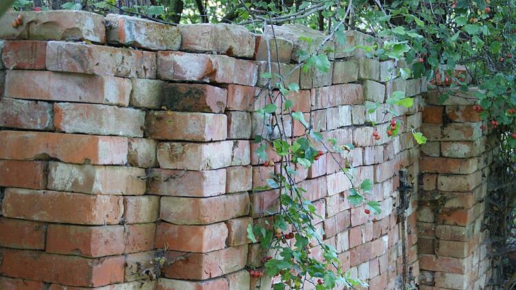 Die Ziegelsteine aus einem abgebrochenen Unterschwappacher Haus bilden auf dem Anwesen der Familie Lindner jetzt eine Trockenmauer, die wärmeliebenden Insekten eine Zuflucht bietet. Foto: Sabine Weinbeer