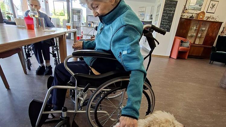H&uuml;ndin Frieda stattet Senioren und Seniorinnen Besuch ab.