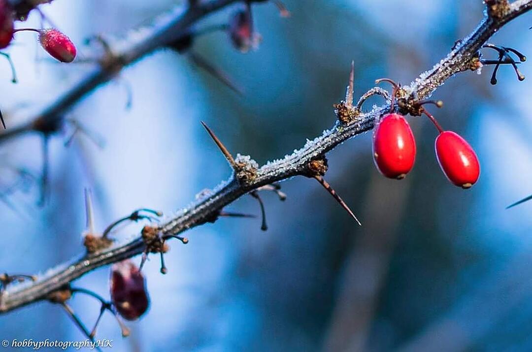 Die schönsten Fotos im Januar aus Forchheim und Umgebung