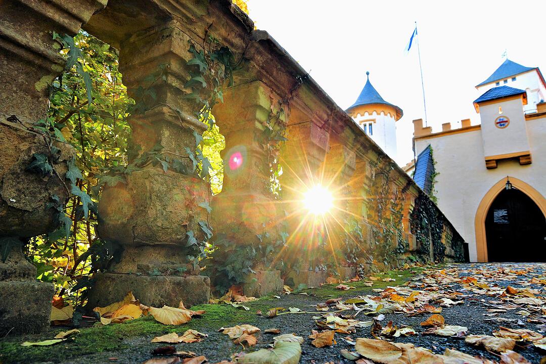 Herbst bei Schloss Greifenstein