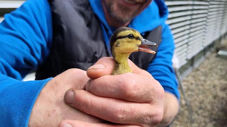 Tierheim Nürnberg hilft aus - "ungewöhnlicher Rettungsdienst" am Klinikum