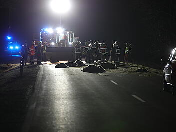 14 tote Schafe bei Unfall bei Dietenhofen: Auto erfasst Herde