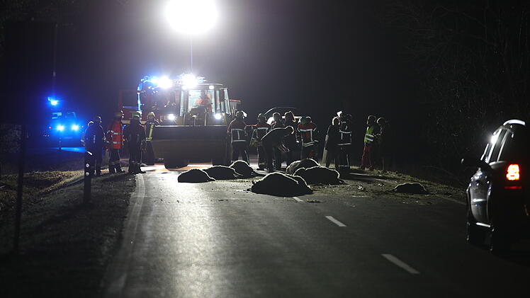 14 tote Schafe bei Unfall bei Dietenhofen: Auto erfasst Herde