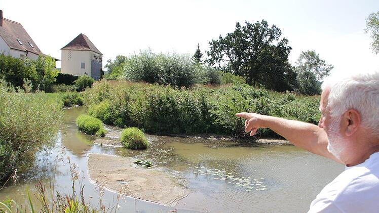 Der Mühlweiher verlandet und müsste ausgebaggert werden.  Foto: Andreas Dorsch