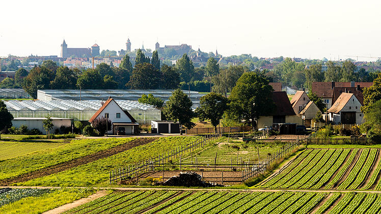 Knoblauchsland Nürnberg