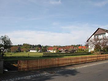 Diese Wiese an der Kurve in der Hauptstraße hat Dirk Stumpe ins Auge gefasst. Foto: Ulrike Müller