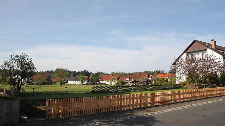 Diese Wiese an der Kurve in der Hauptstraße hat Dirk Stumpe ins Auge gefasst. Foto: Ulrike Müller