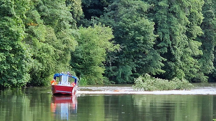 Bamberg: Feuerwehreinsatz oberhalb der Hainbadestelle - Einsatzkräfte müssen Baum sichern