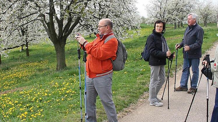 Der Fränkische-Schweiz-Verein sucht Wander- und Wegewarte.  Foto: Fränkische Schweiz