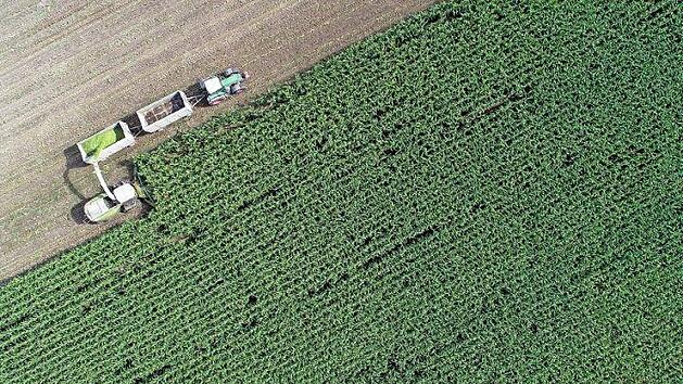 Die EU-Agrarpolitik soll gr&uuml;ner werden. Die EU-Staaten haben sich nun darauf geeinigt, wie das ihrer Meinung nach gelingen soll. Foto: Patrcik Pleul, dpa