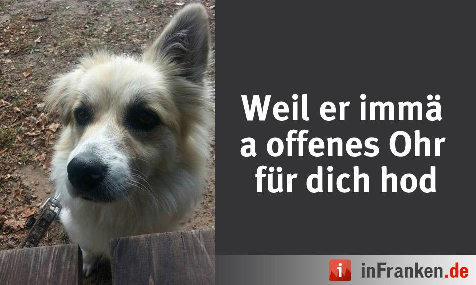 Foto: Nihal Frank Günes