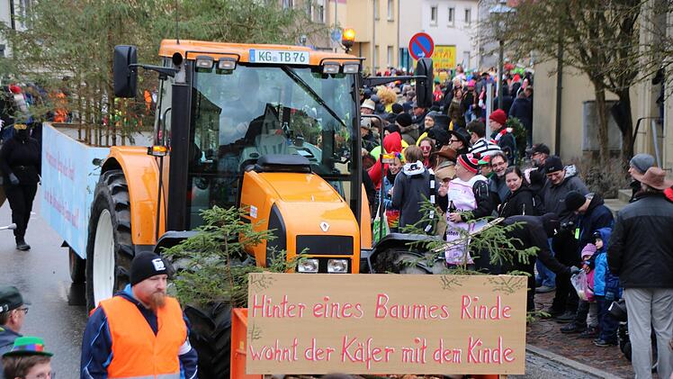 Der Borkenkäfer frisst die Wälder weg. Thomas Malz