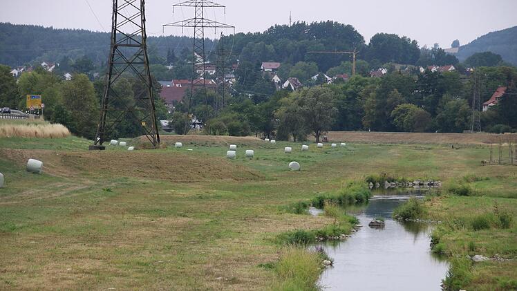 Im letzten Jahr war die Flutmulde maschinell und großflächig gemäht worden. Foto: Katrin Geyer