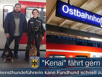 Immer wieder b&uuml;xt ein Mischlingshund  seinem Herrchen bei M&uuml;nchen aus und f&auml;hrt mit der S-Bahn  alleine in die Gro&szlig;stadt. Die Bundespolizei nahm sich dem Fundhund Kenai an. Foto: Bundespolizei