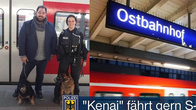 Immer wieder b&uuml;xt ein Mischlingshund  seinem Herrchen bei M&uuml;nchen aus und f&auml;hrt mit der S-Bahn  alleine in die Gro&szlig;stadt. Die Bundespolizei nahm sich dem Fundhund Kenai an. Foto: Bundespolizei