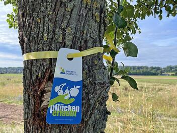 Stadt Oberasbach gibt 16 Streuobstb&auml;ume zum Ernten frei - Aktion "Gelbes Band"