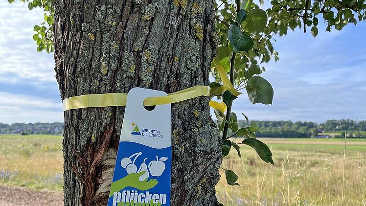 Stadt Oberasbach gibt 16 Streuobstb&auml;ume zum Ernten frei - Aktion "Gelbes Band"