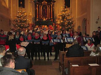 Mit deutschen und amerikanischen Weihnachtsliedern und fröhlichen Klängen überraschte der Projektchor. Foto: Winfried Ehling