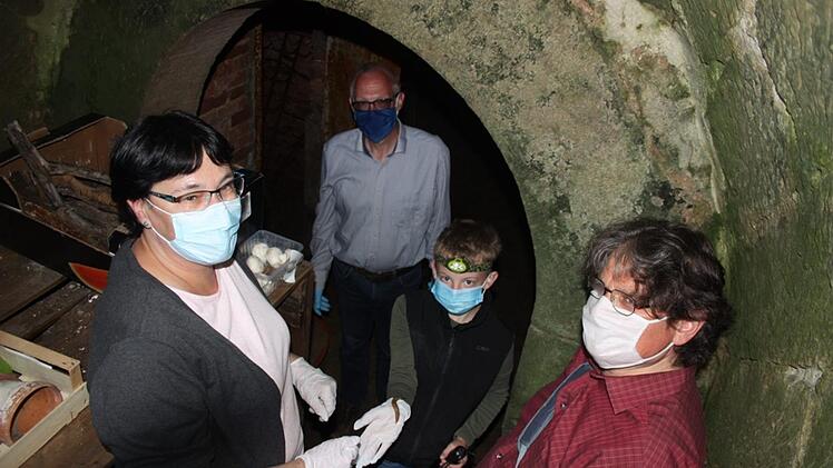 Der verschollene Bierschnegel wird im Coburger Land wieder angesiedelt. Dafür hat der LBV die Genehmigung der Höheren Naturschutzbehörde der Regierung von Oberfranken eingeholt und drei Keller für die besonderen Bedürfnisse der Schneckenart ausgestattet. Foto: LBV