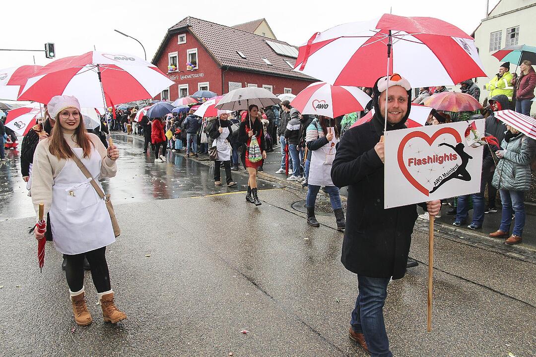 Großer Faschingsumzug  zum Stadtsteinacher Marktplatz