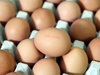 H&uuml;hnereier (Symbolbild)