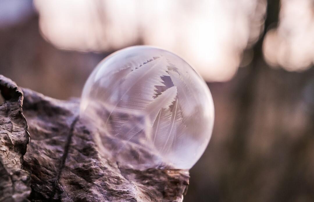 Die schönsten Frühlingsfotos aus Coburg und Umgebung
