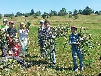 Schüler der Grund- und Mittelschule Bischofsheim haben sich an der Lupinenaktion des Biosphärenreservates Rhön beteiligt.  Foto: Jürgen Schmidt