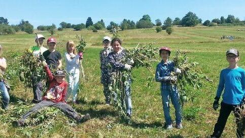 Schüler der Grund- und Mittelschule Bischofsheim haben sich an der Lupinenaktion des Biosphärenreservates Rhön beteiligt.  Foto: Jürgen Schmidt