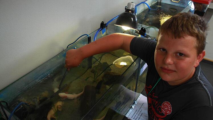 Louis mit seinen Axolotl Foto: Carmen Schmitt