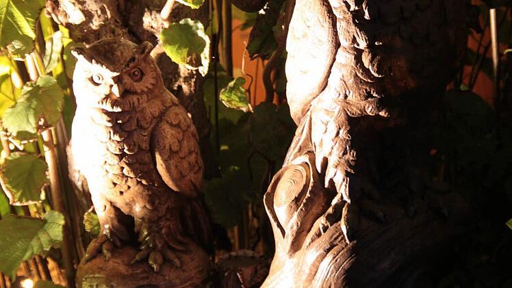 Der beleuchtete Garten der Familie Eichner aus Harsdorf. Foto: Jürgen Gärtner