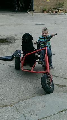 Foto: Peggy Maas