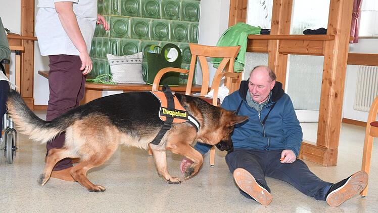 Therapiehund Aramis bei den Senioren im Kulmbacher WohnstiftFoto: Ronald Rinklef
