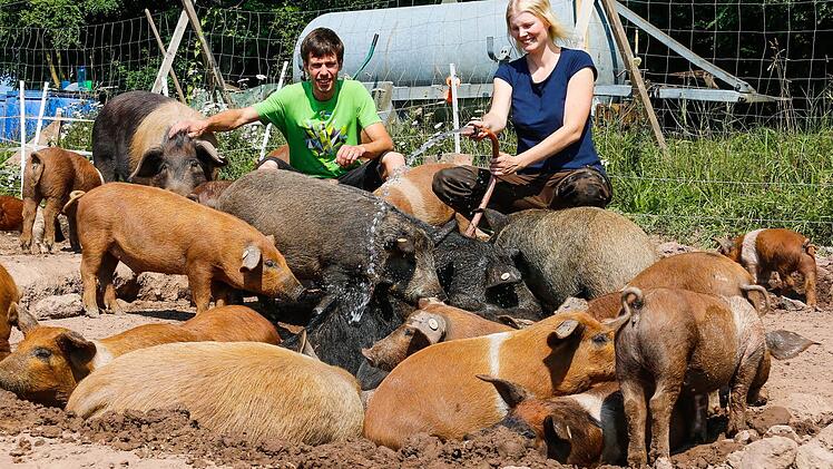 Ben Berthold und Johanna Jeltsch leben auf dem Dörnhof mit vielen Tieren. Ihre Schweine sind das ganze Jahr draußen auf der Weide und genießen ihr Schlammbad an heißen Sommertagen ganz besonders. Foto: Matthias Hoch